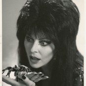 Elvira Mistress of the Dark DVD | Monster Pictures